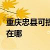 重庆忠县可提供伊立浦电压力锅维修服务地址在哪