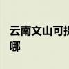 云南文山可提供TCL电压力锅维修服务地址在哪