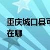 重庆城口县可提供TCL电压力锅维修服务地址在哪