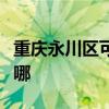 重庆永川区可提供方太燃气灶维修服务地址在哪