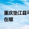重庆垫江县可提供TCL电压力锅维修服务地址在哪