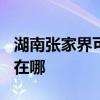 湖南张家界可提供TCL电压力锅维修服务地址在哪
