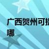 广西贺州可提供TCL电压力锅维修服务地址在哪