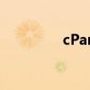 cPanel虚拟主机面板评估