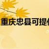 重庆忠县可提供老板燃气灶维修服务地址在哪