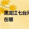 黑龙江七台河可提供TCL燃气灶维修服务地址在哪
