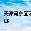 天津河东区可提供樱花燃气灶维修服务地址在哪