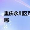 重庆永川区可提供TCL燃气灶维修服务地址在哪