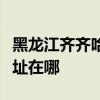 黑龙江齐齐哈尔可提供樱花燃气灶维修服务地址在哪