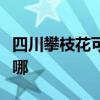 四川攀枝花可提供樱雪燃气灶维修服务地址在哪 四川攀枝花可提供樱雪燃气灶维修服务地址在哪