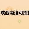 陕西商洛可提供樱雪燃气灶维修服务地址在哪