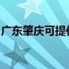 广东肇庆可提供九阳燃气灶维修服务地址在哪