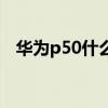 华为p50什么时间预定 华为p50怎么预定 