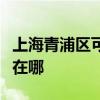 上海青浦区可提供好太太燃气灶维修服务地址在哪