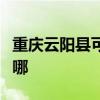 重庆云阳县可提供百得燃气灶维修服务地址在哪