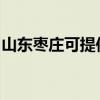 山东枣庄可提供德意燃气灶维修服务地址在哪