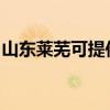 山东莱芜可提供志邦燃气灶维修服务地址在哪