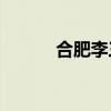 合肥李三安的航海装饰怎么样？