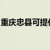 重庆忠县可提供申花燃气灶维修服务地址在哪