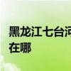 黑龙江七台河可提供申花燃气灶维修服务地址在哪
