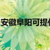 安徽阜阳可提供统帅热水器维修服务地址在哪