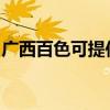 广西百色可提供统帅热水器维修服务地址在哪