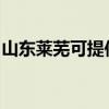 山东莱芜可提供能率热水器维修服务地址在哪