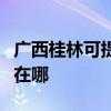 广西桂林可提供阿里斯顿热水器维修服务地址在哪
