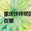 重庆沙坪坝区可提供皇明热水器维修服务地址在哪