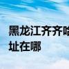 黑龙江齐齐哈尔可提供九阳热水器维修服务地址在哪
