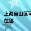 上海宝山区可提供斯狄渢热水器维修服务地址在哪