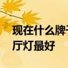 现在什么牌子的客厅灯好 请问什么牌子的客厅灯最好 