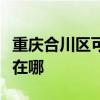 重庆合川区可提供斯狄渢热水器维修服务地址在哪