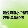 哪位知道小户型客厅如何设计 哪位了解小户型客厅怎么装修好看 具体如何 