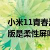 小米11青春活力版是什么屏 小米11青春活力版是柔性屏吗 