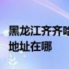黑龙江齐齐哈尔可提供澳柯玛热水器维修服务地址在哪