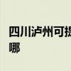 四川泸州可提供赛德隆热水器维修服务地址在哪
