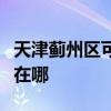 天津蓟州区可提供赛德隆热水器维修服务地址在哪
