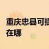 重庆忠县可提供伊莱克斯热水器维修服务地址在哪