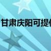甘肃庆阳可提供申花热水器维修服务地址在哪