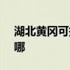 湖北黄冈可提供SKG电水壶维修服务地址在哪