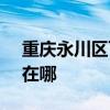 重庆永川区可提供SKG电水壶维修服务地址在哪 重庆永川区可提供SKG电水壶维修服务地址在哪