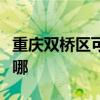 重庆双桥区可提供康佳电水壶维修服务地址在哪