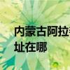 内蒙古阿拉善可提供SKG电水壶维修服务地址在哪