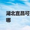 湖北宜昌可提供SKG咖啡机维修服务地址在哪