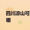 四川凉山可提供SKG咖啡机维修服务地址在哪