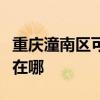 重庆潼南区可提供西门子电烤箱维修服务地址在哪