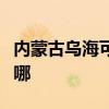 内蒙古乌海可提供华帝电烤箱维修服务地址在哪