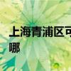 上海青浦区可提供德意电烤箱维修服务地址在哪