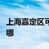 上海嘉定区可提供德龙电烤箱维修服务地址在哪